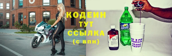 индика Коряжма