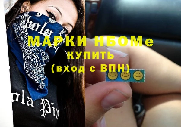 индика Коряжма