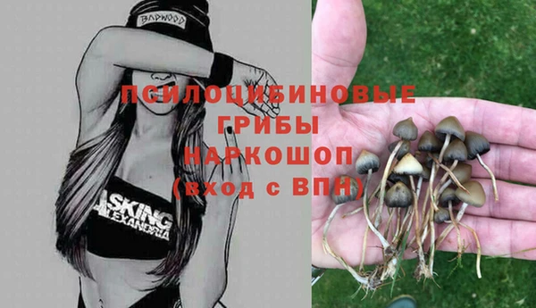 метадон Костерёво