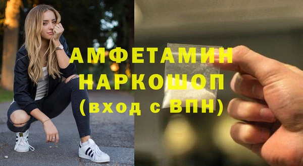 индика Коряжма